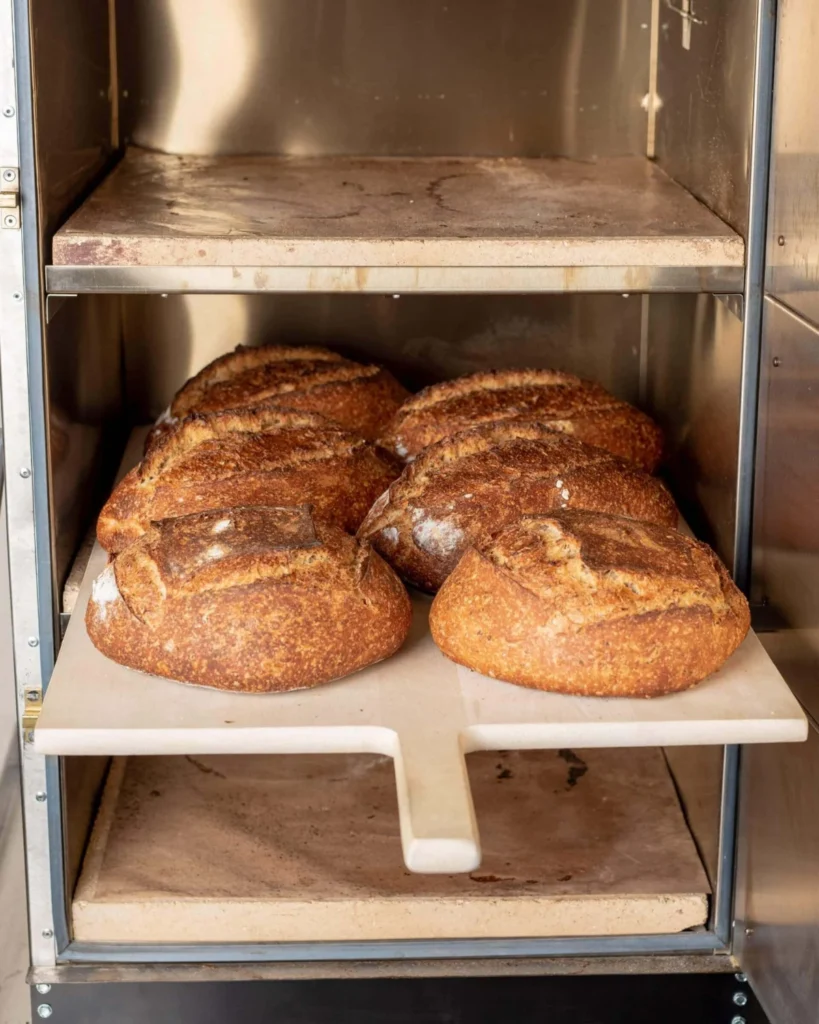 The Inevitable Evolution: A Deep Dive into the Rofco B40 Bread Oven for the Dedicated Home Baker