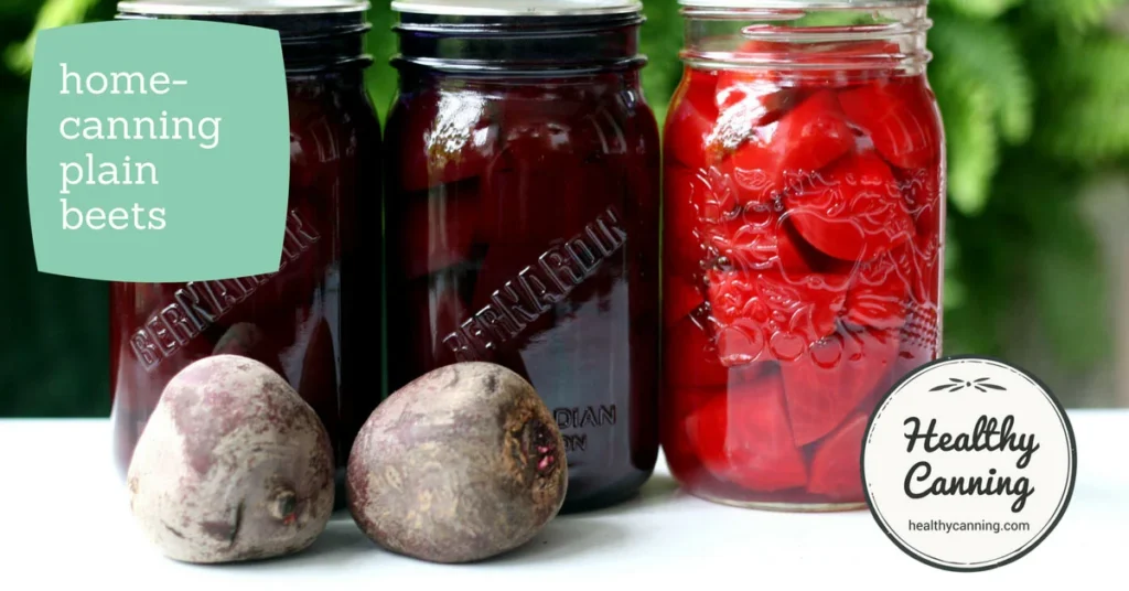 A Comprehensive Guide to the Safe Home Pressure Canning of Plain Beets According to USDA Standards