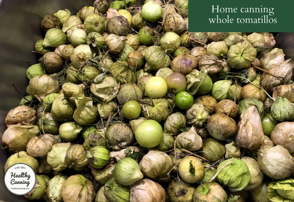 Mastering the Art of Home Canning Whole Tomatillos Using USDA Safety Standards