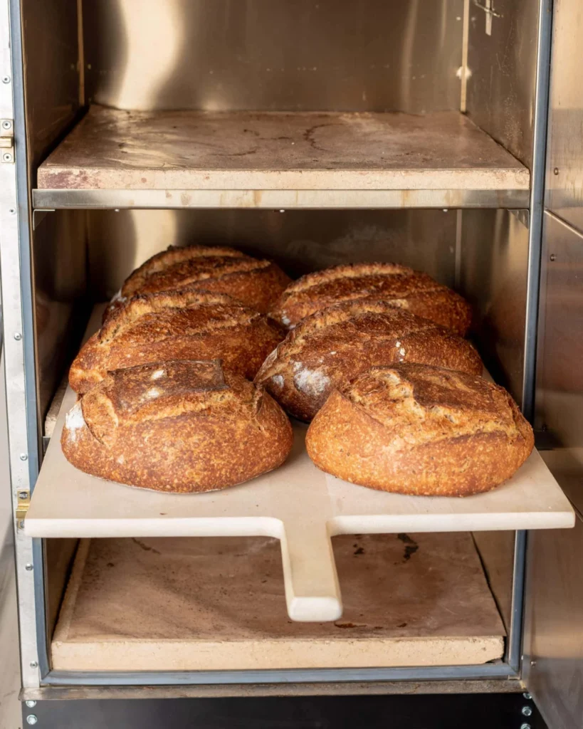 The Evolution of Home Baking: A Deep Dive into the Rofco Bread Oven for Scaling Production