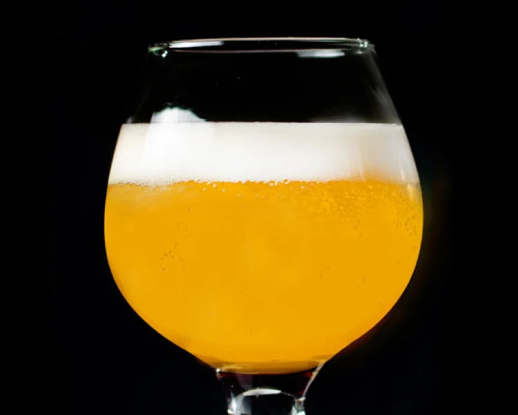 2026 National Homebrew Competition Announces Gold Medal-Winning Recipes for Beer, Mead, and Cider