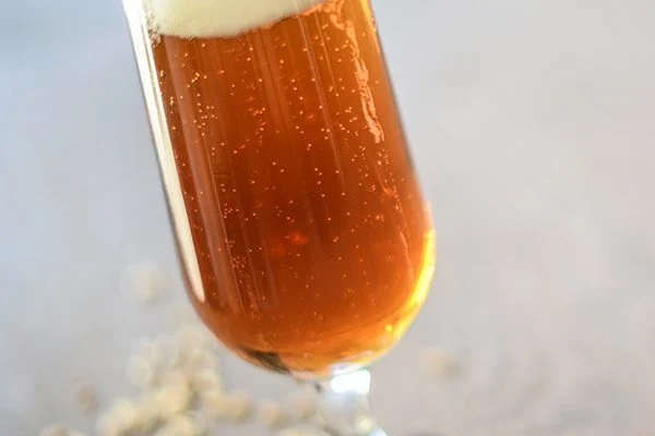 North Carolina Homebrewer Tony Hamric Wins Prestigious Gold Medal at the 2026 National Homebrew Competition